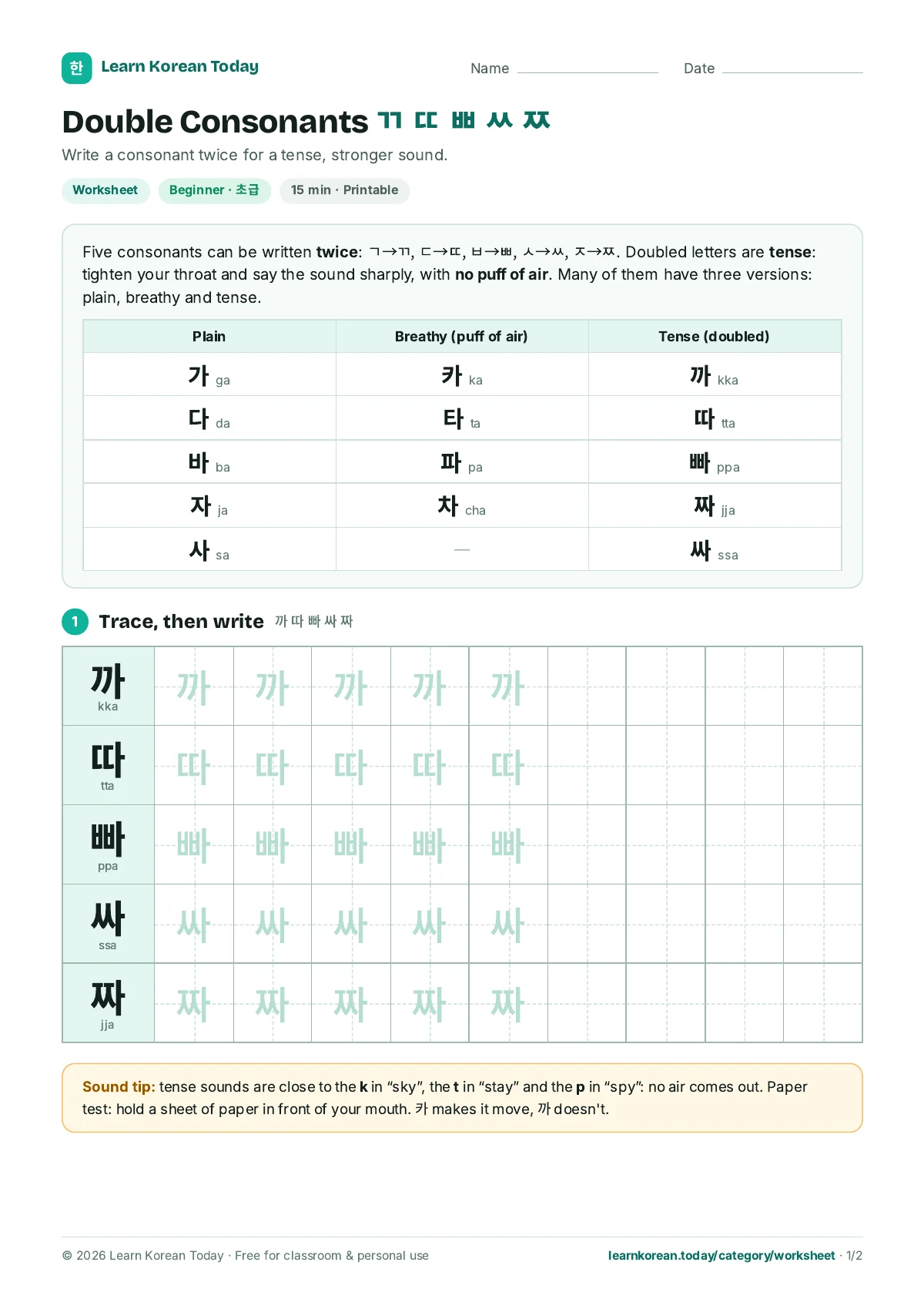Hangul Double Consonants (ㄲ ㄸ ㅃ ㅆ ㅉ) Worksheet for Beginners: page 1 preview